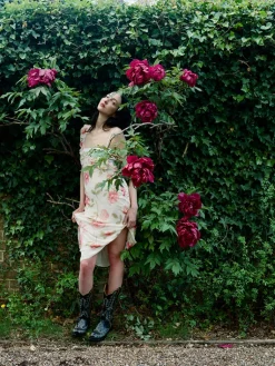 The Gemma -^Réalisation Par Best